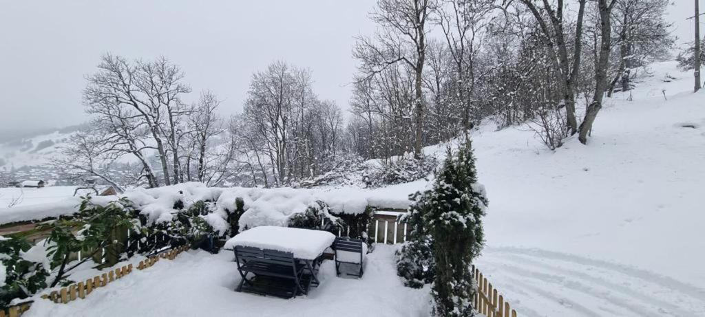 Logement A Megeve Avec Jardin Exterior foto
